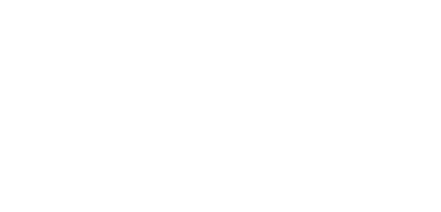 VELUM WEB